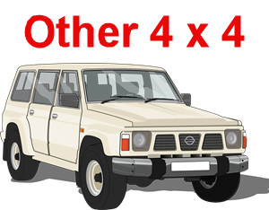 Other 4x4